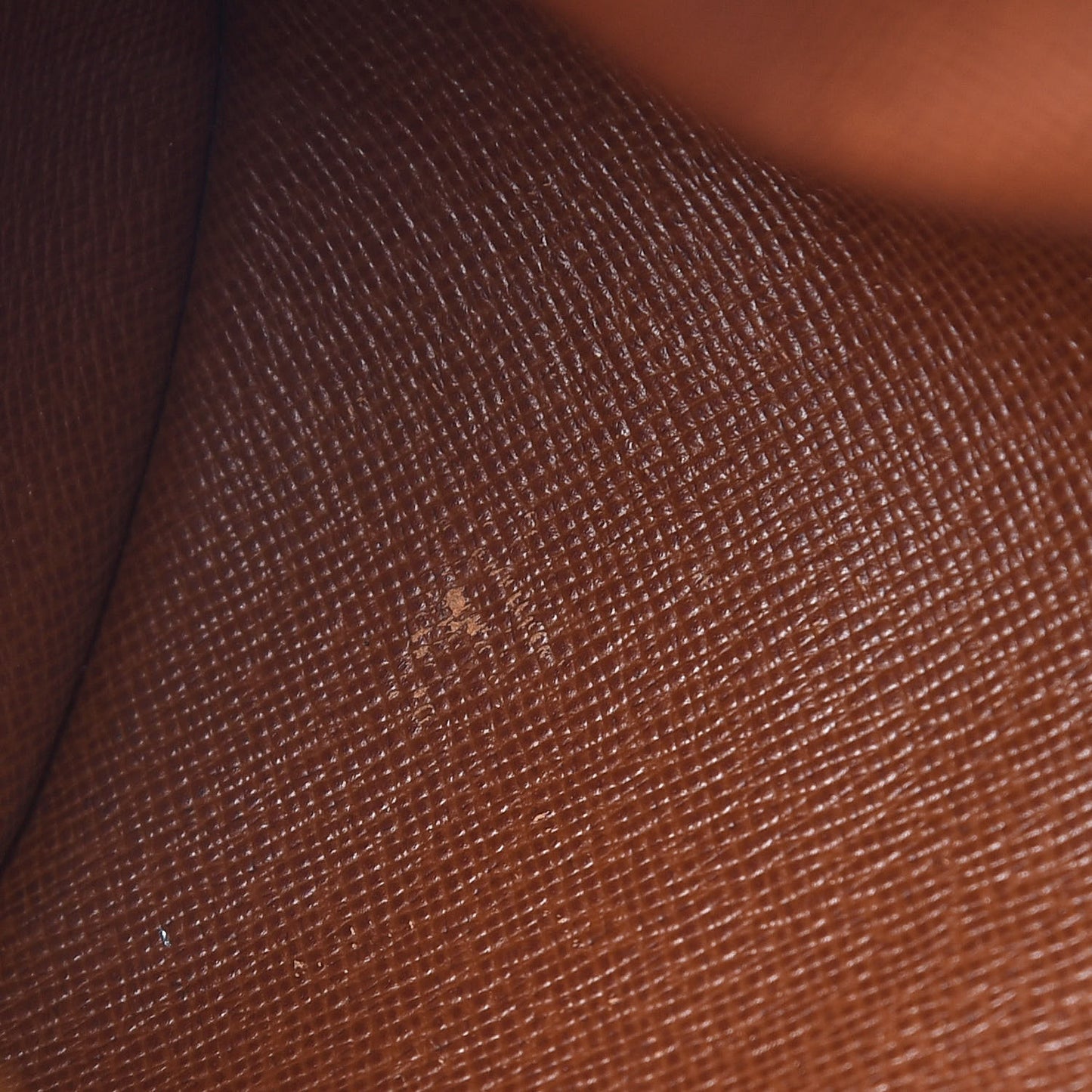 Monogram Papillon 30