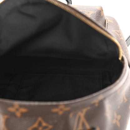 Louis Vuitton Monogram Palm Springs Backpack Mini 5 of 12