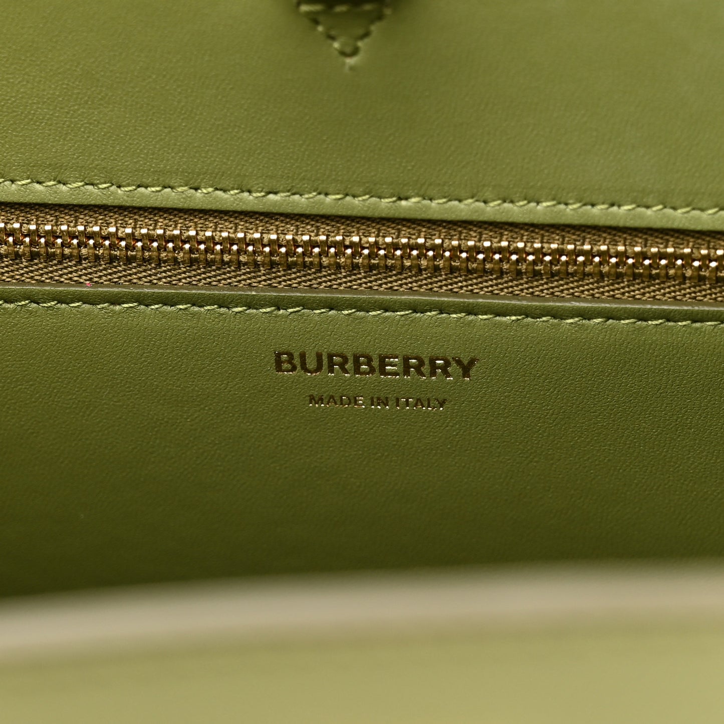 Grained Calfskin Small Frances Tote Spruce Green