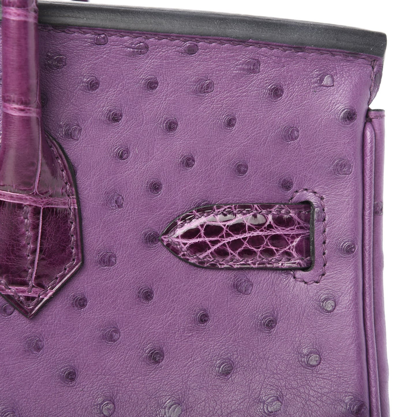 Ostrich Shiny Alligator Birkin Touch 30 Violine