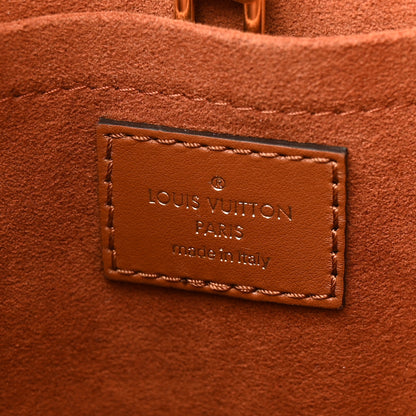 Louis Vuitton Kitted Raffia Petit Bucket Caramel 6 of 9