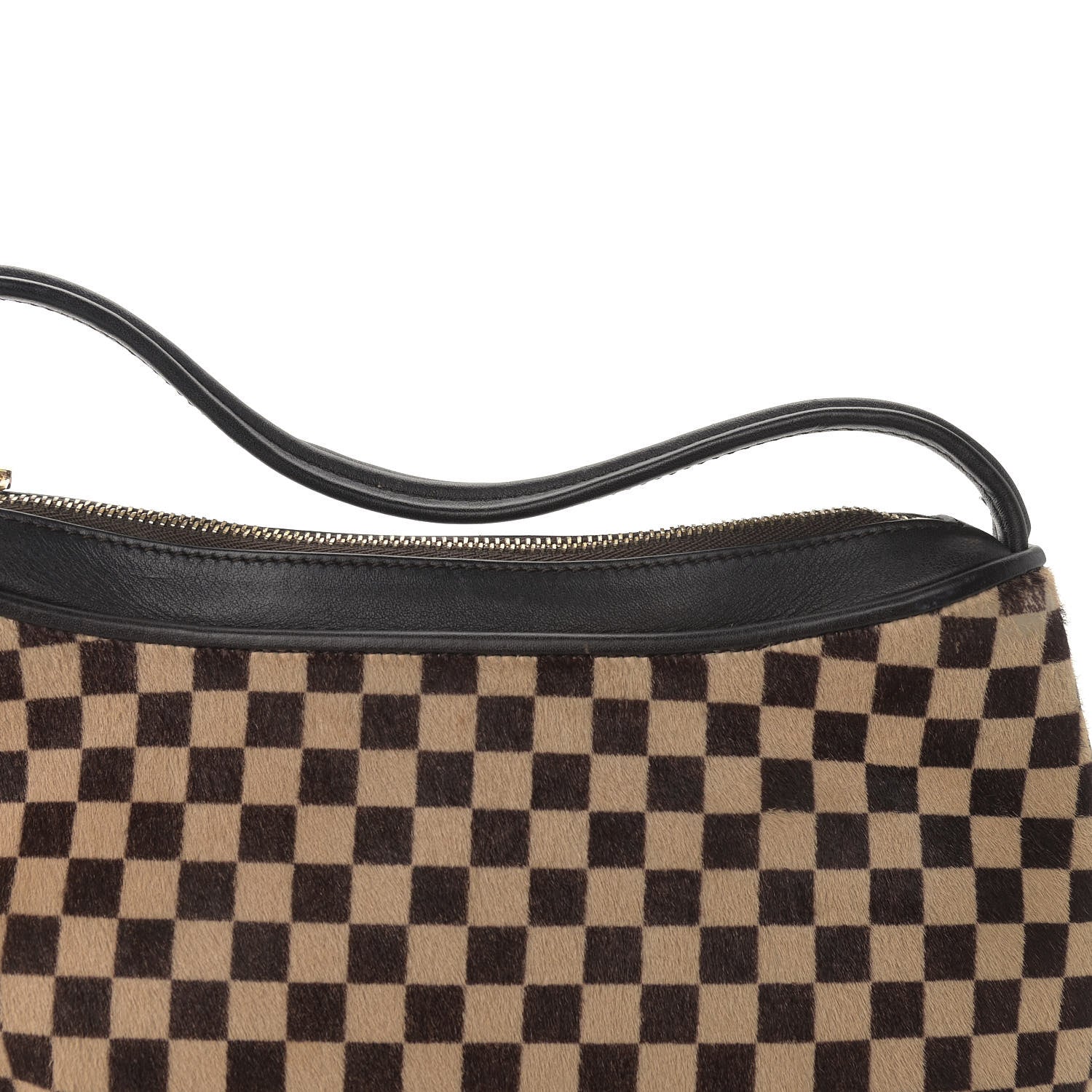 Louis Vuitton Calf Hair Damier Sauvage Tigre 11 of 14
