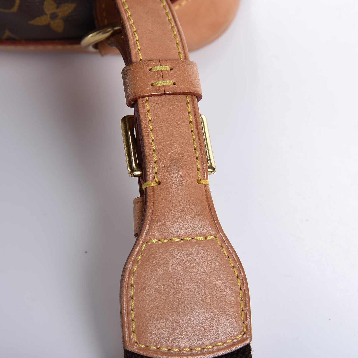 Monogram Montsouris GM Backpack
