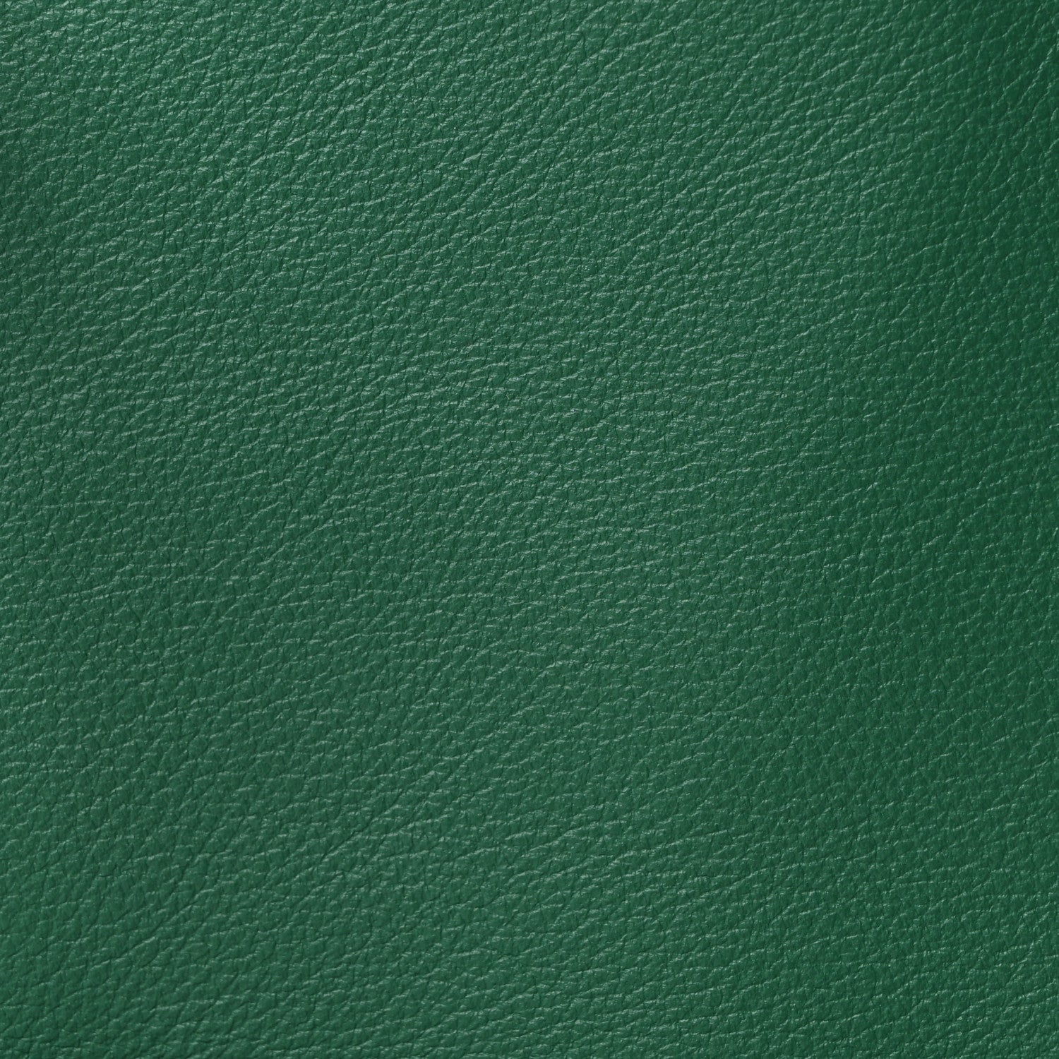 Goyard Goyardine Reversible Mini Anjou Green 15 of 17