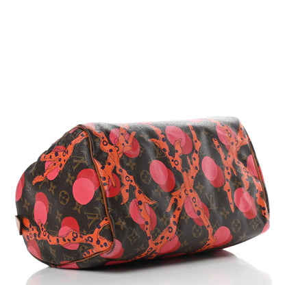 Louis Vuitton Monogram Ramages Speedy 30 Grenade 4 of 24