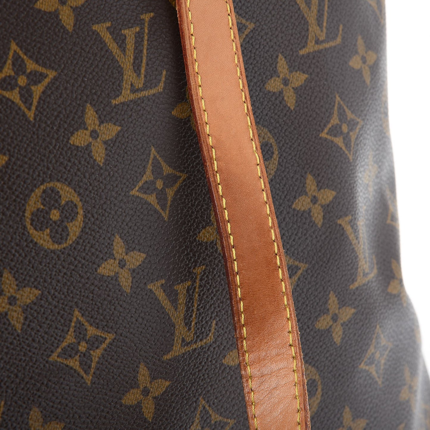 Monogram Cabas Mezzo