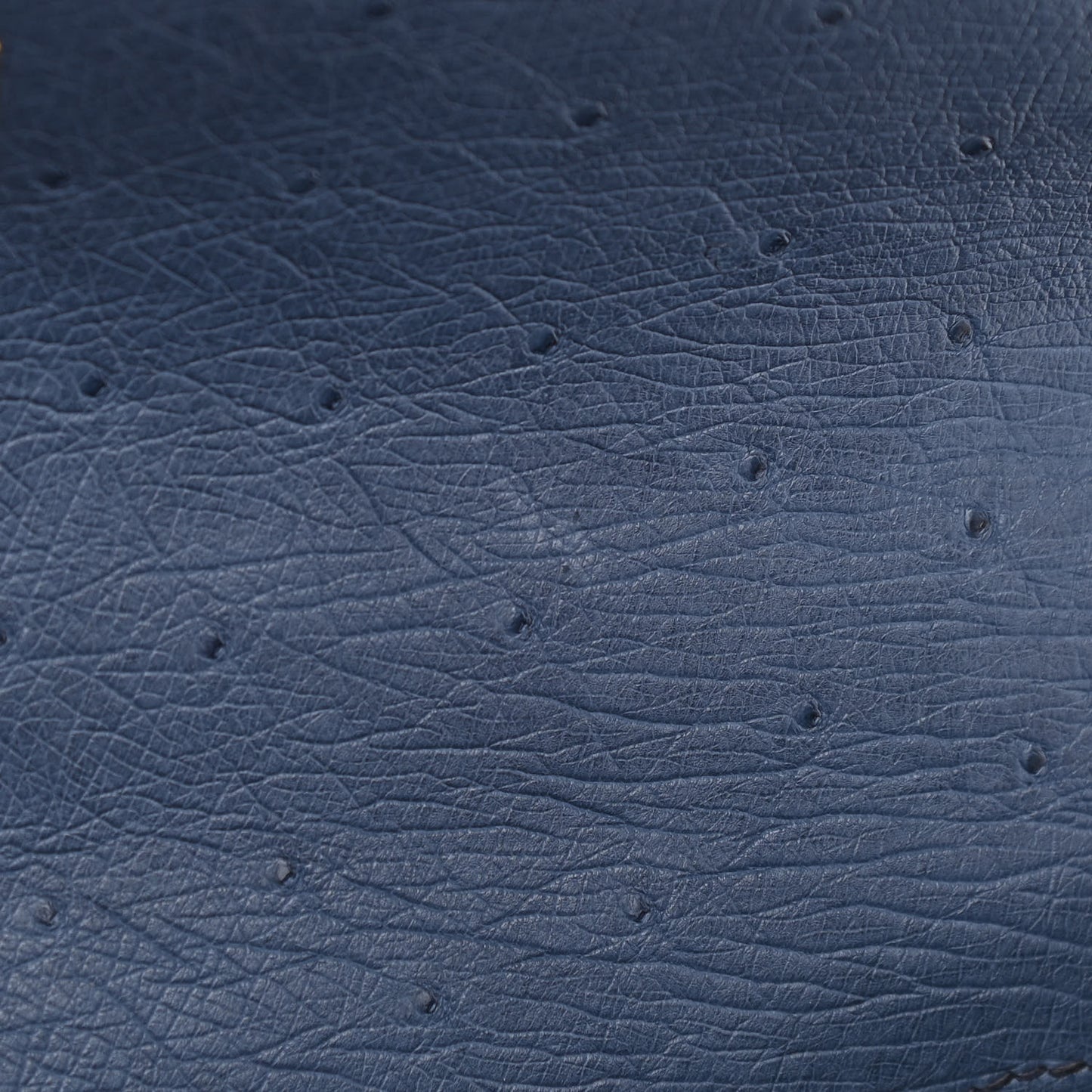 Ostrich Kelly Sellier 28 Bleu Roi