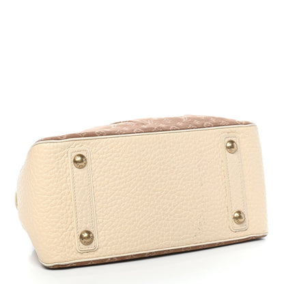 Louis Vuitton Mini Lin Trapeze PM Camel 5 of 8