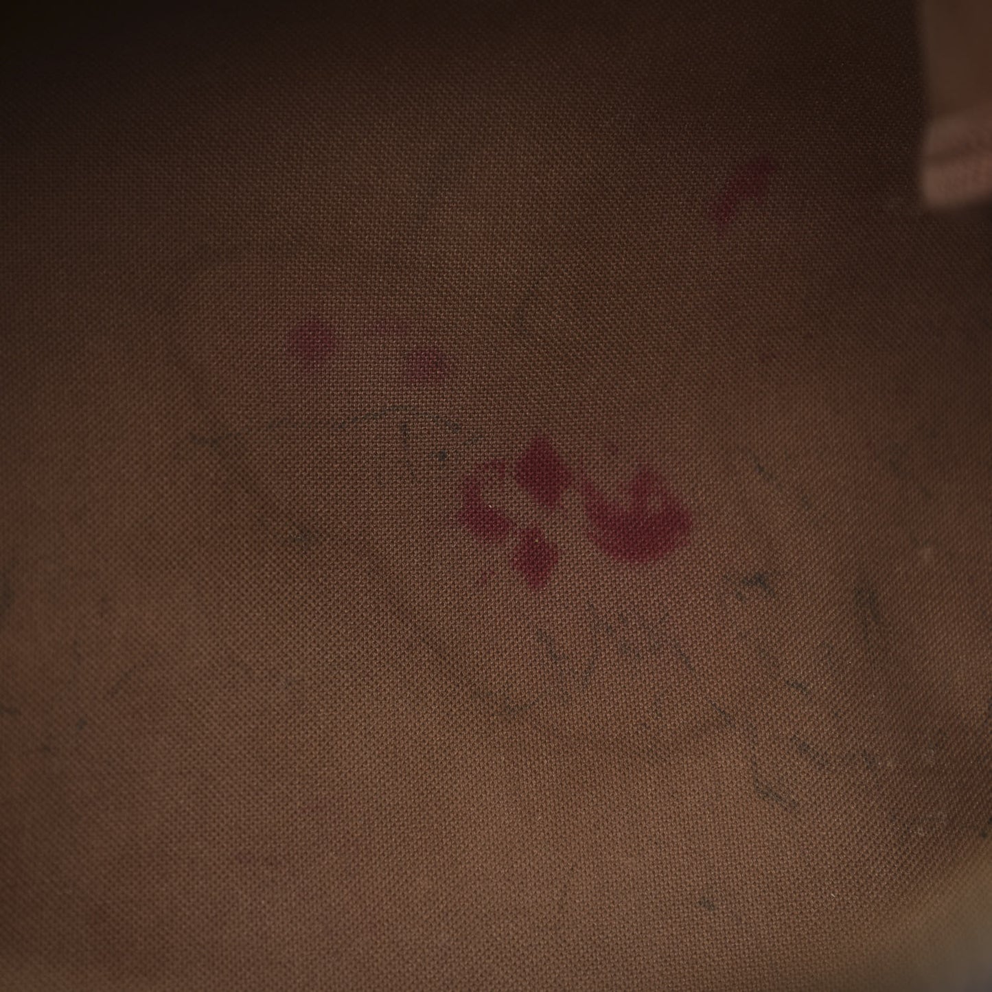 Monogram Speedy Bandouliere 35