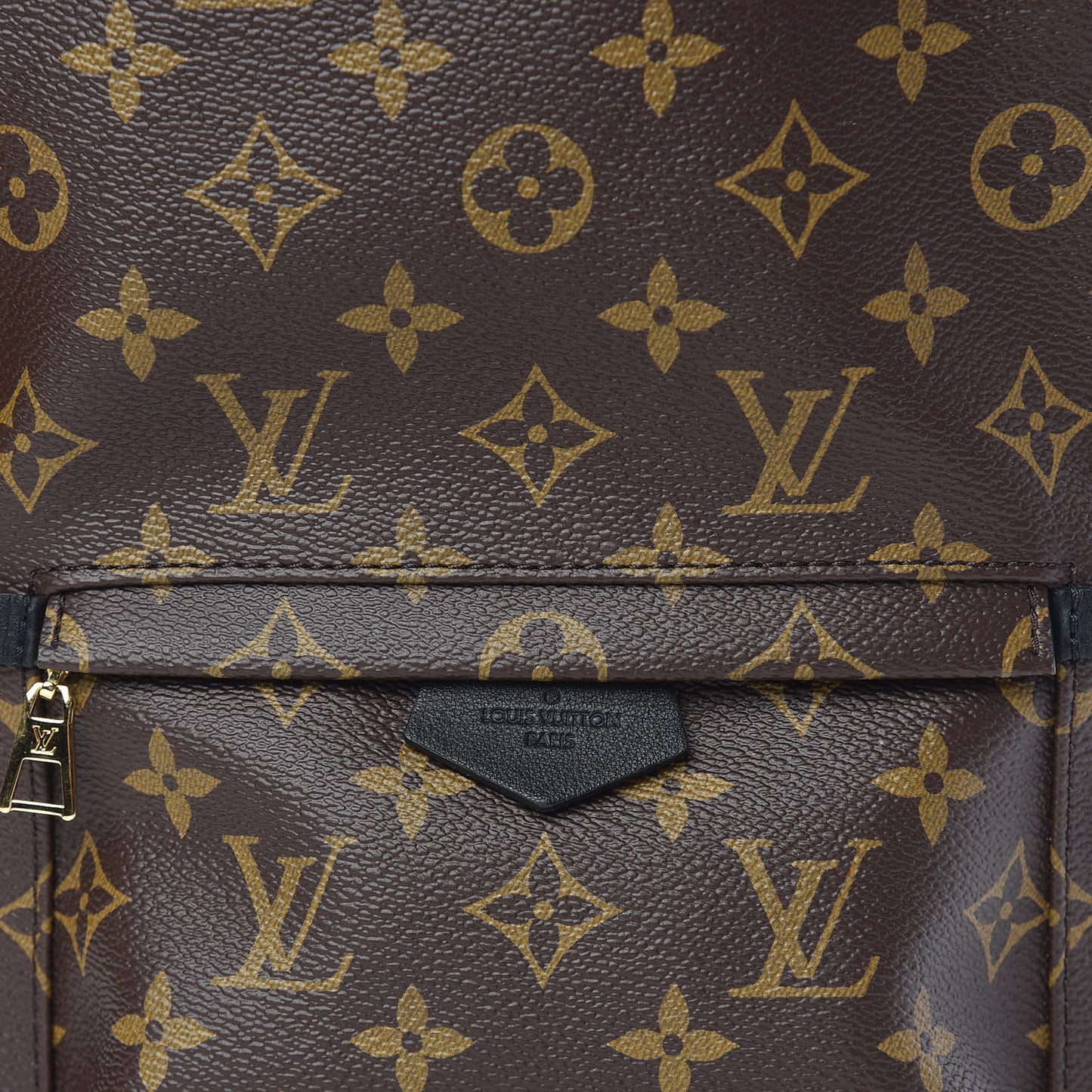 Monogram Palm Springs Backpack PM