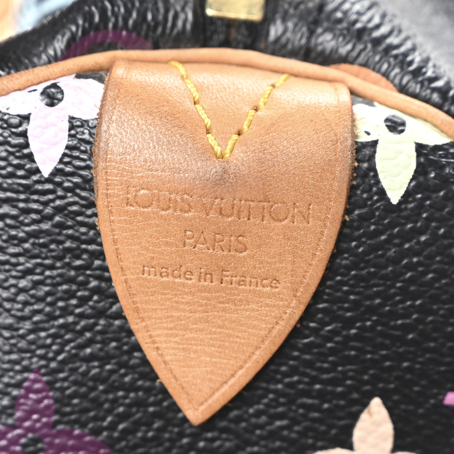 Monogram Multicolor Speedy 30 Black