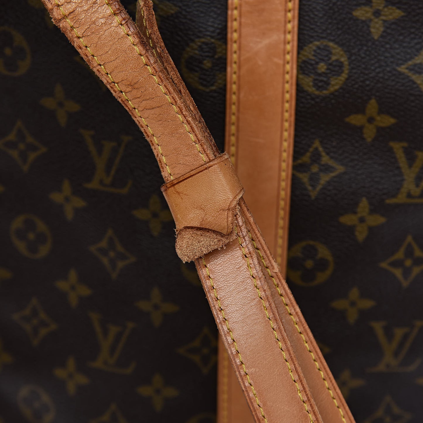 Monogram Randonnee GM Backpack