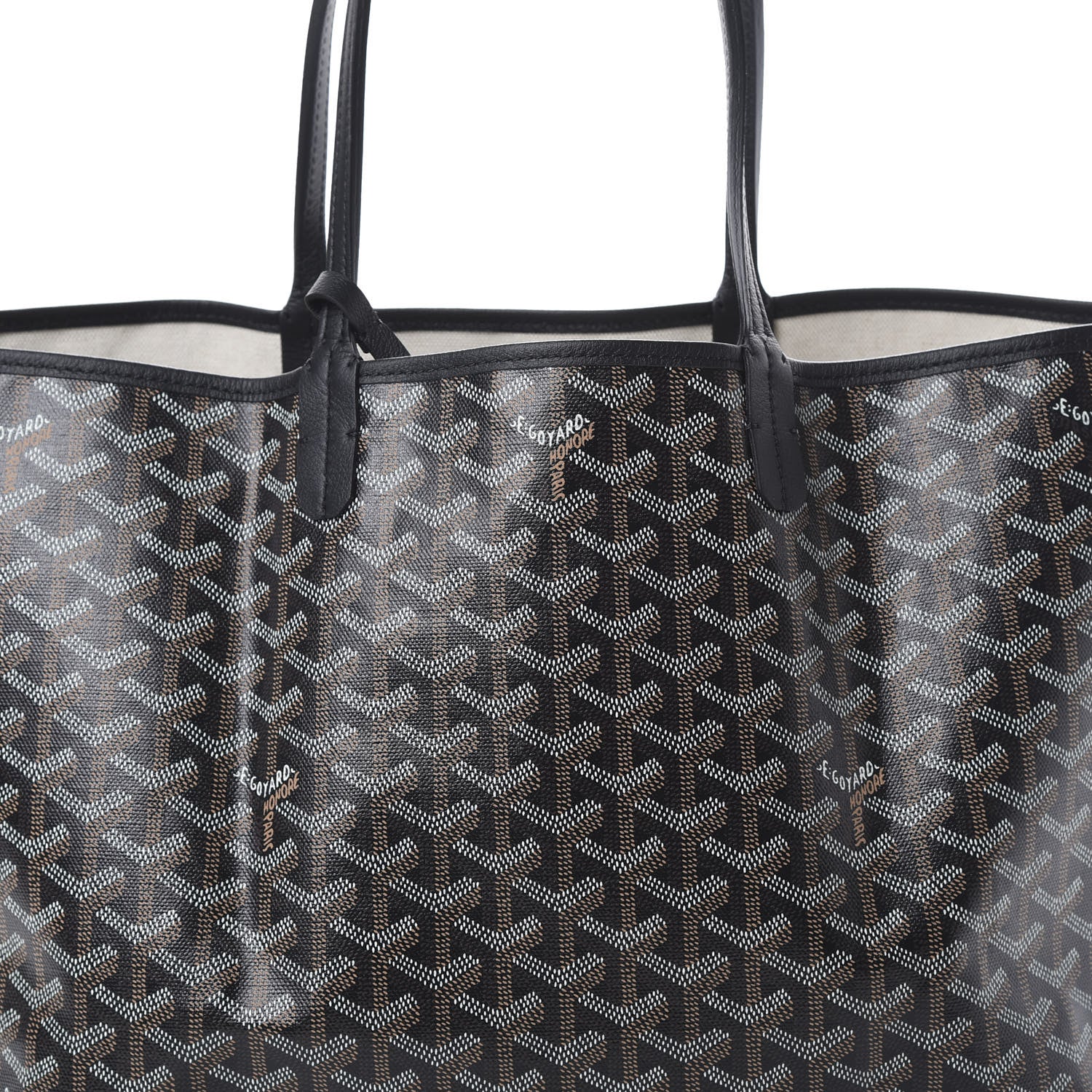 Goyard Goyardine Saint Louis PM Black 8 of 10