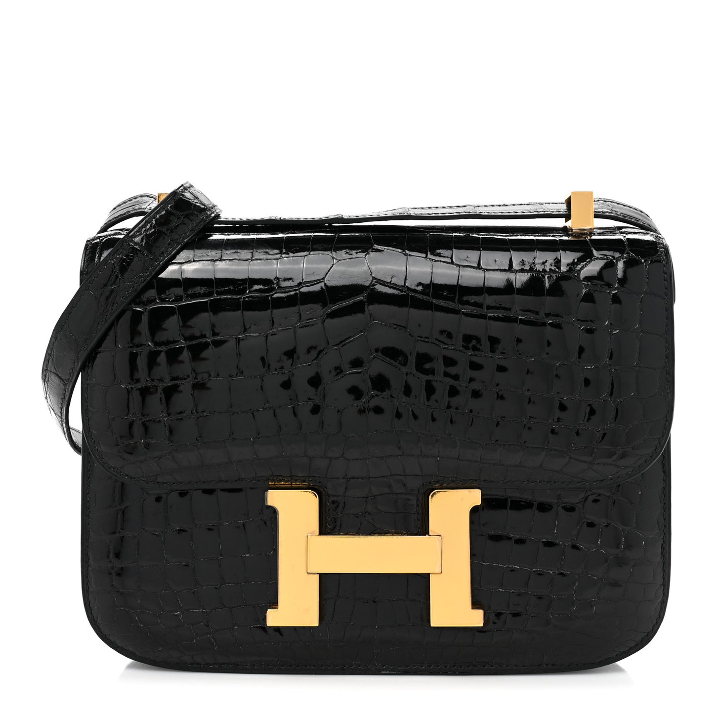 Shiny Niloticus Crocodile Constance 23 Black