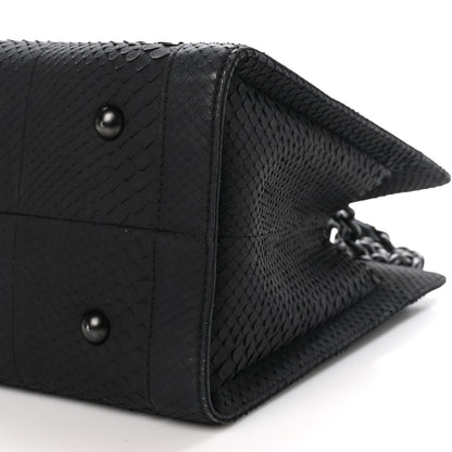 Chanel Snakeskin Boy Shopping Tote So Black 10 of 10