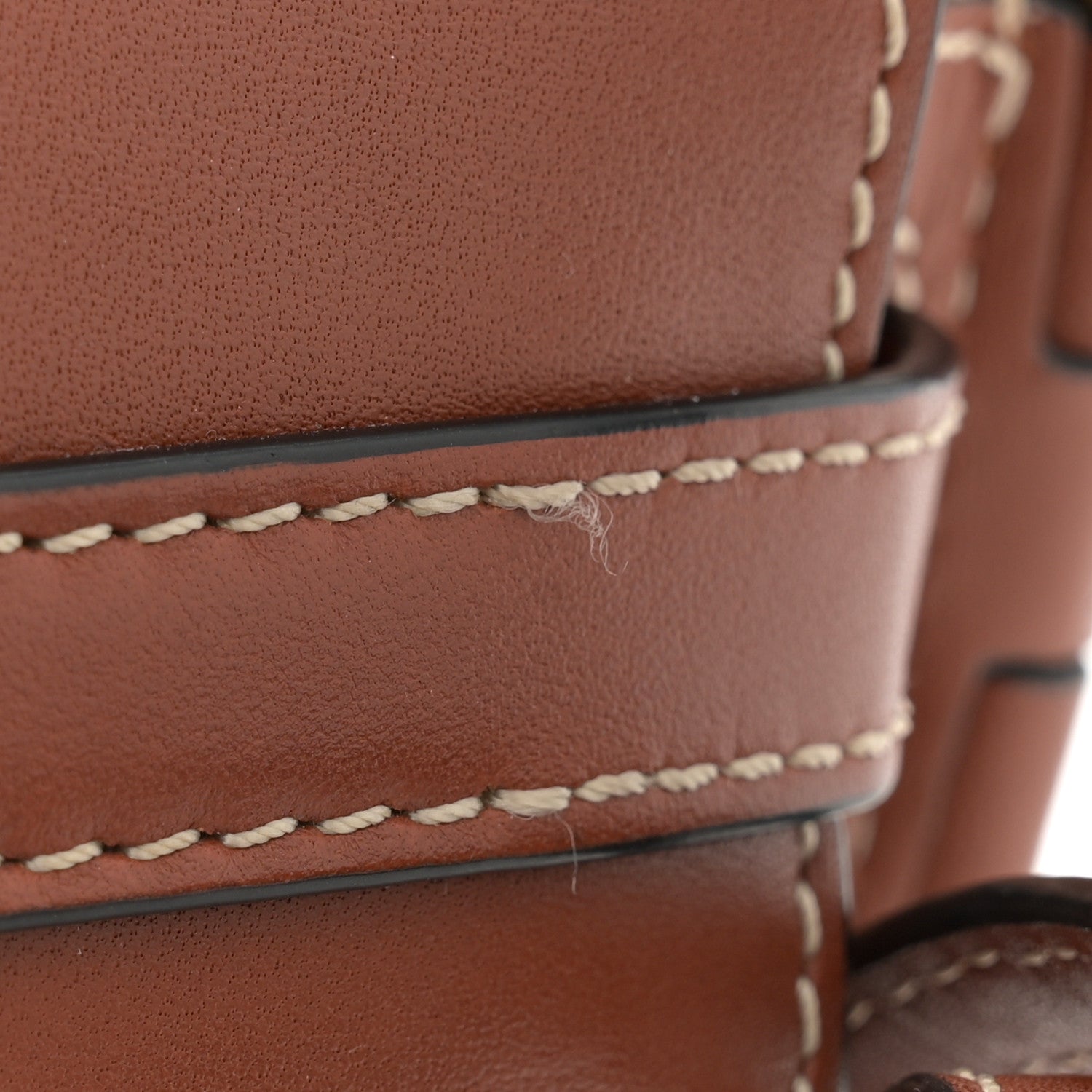 Loewe Calfskin Mini Gate Crossbody Bag Rust 11 of 12