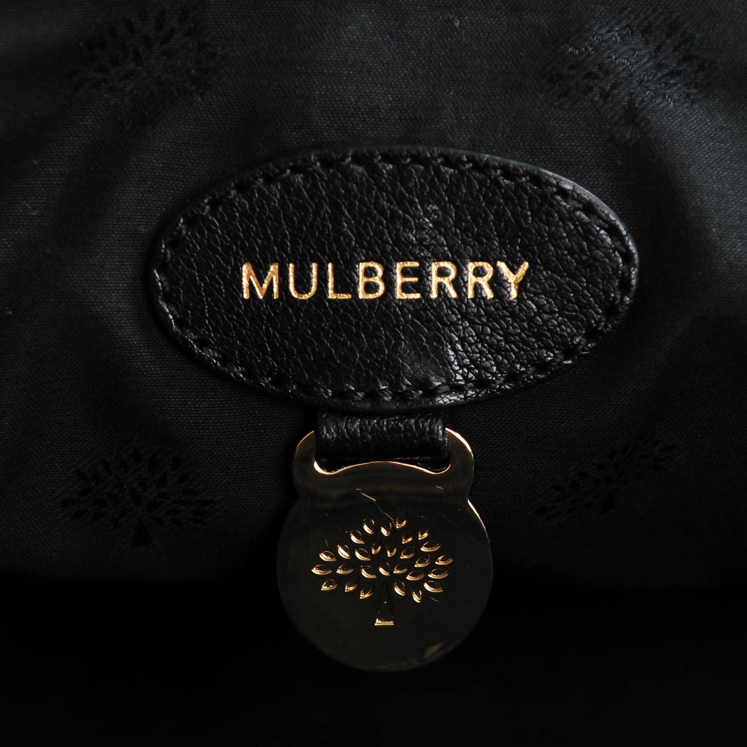 Mulberry Polished Buffalo Medium Alexa Black 6 of 7