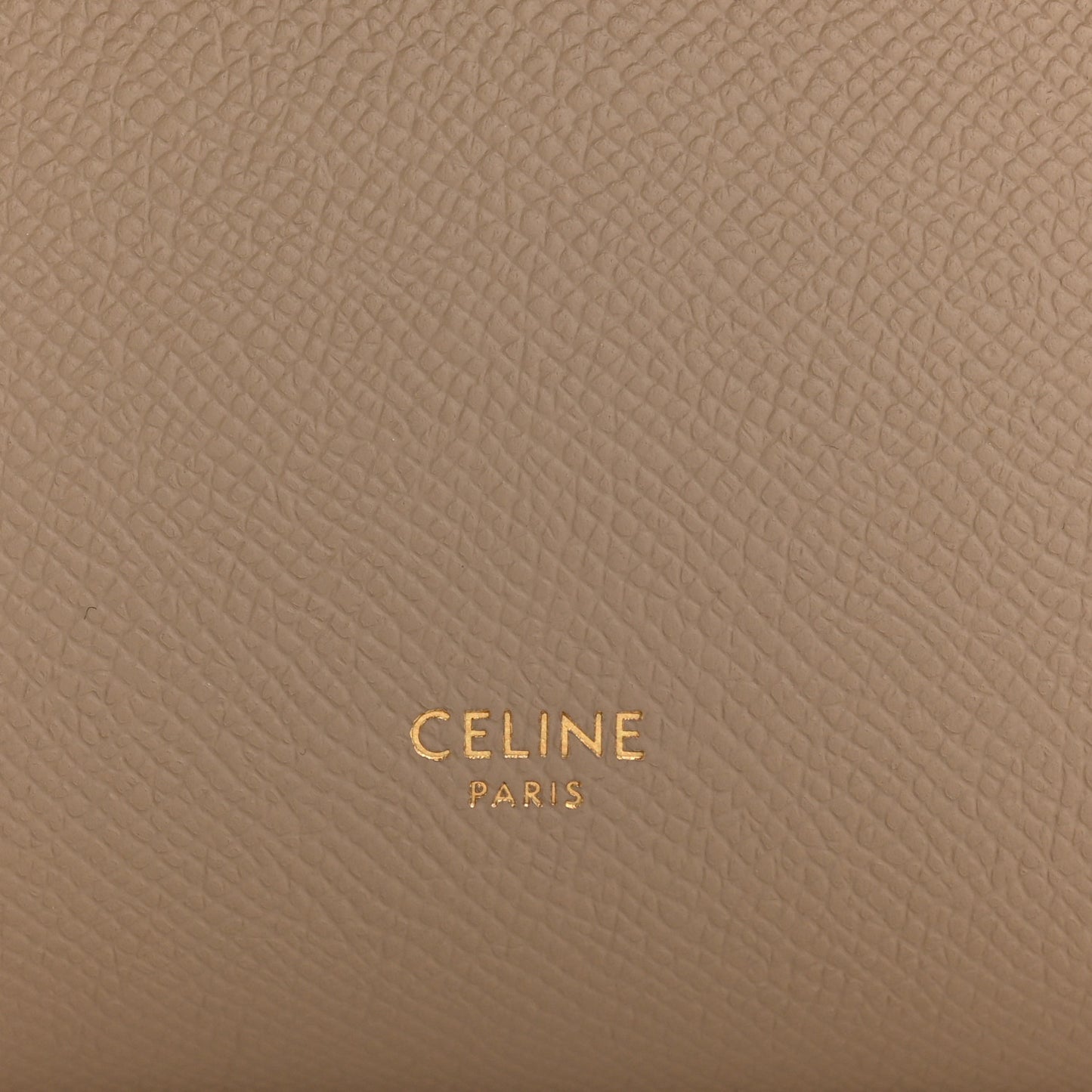 Grained Calfskin Nano Belt Bag Light Taupe