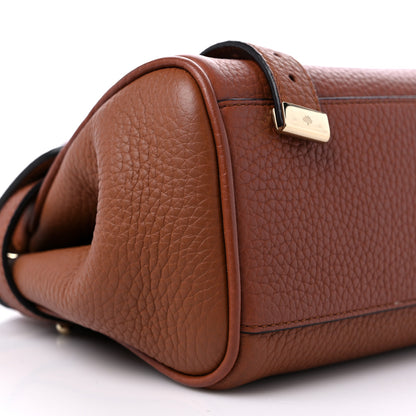 Mulberry Heavy Grain Mini Alexa Chestnut 7 of 9
