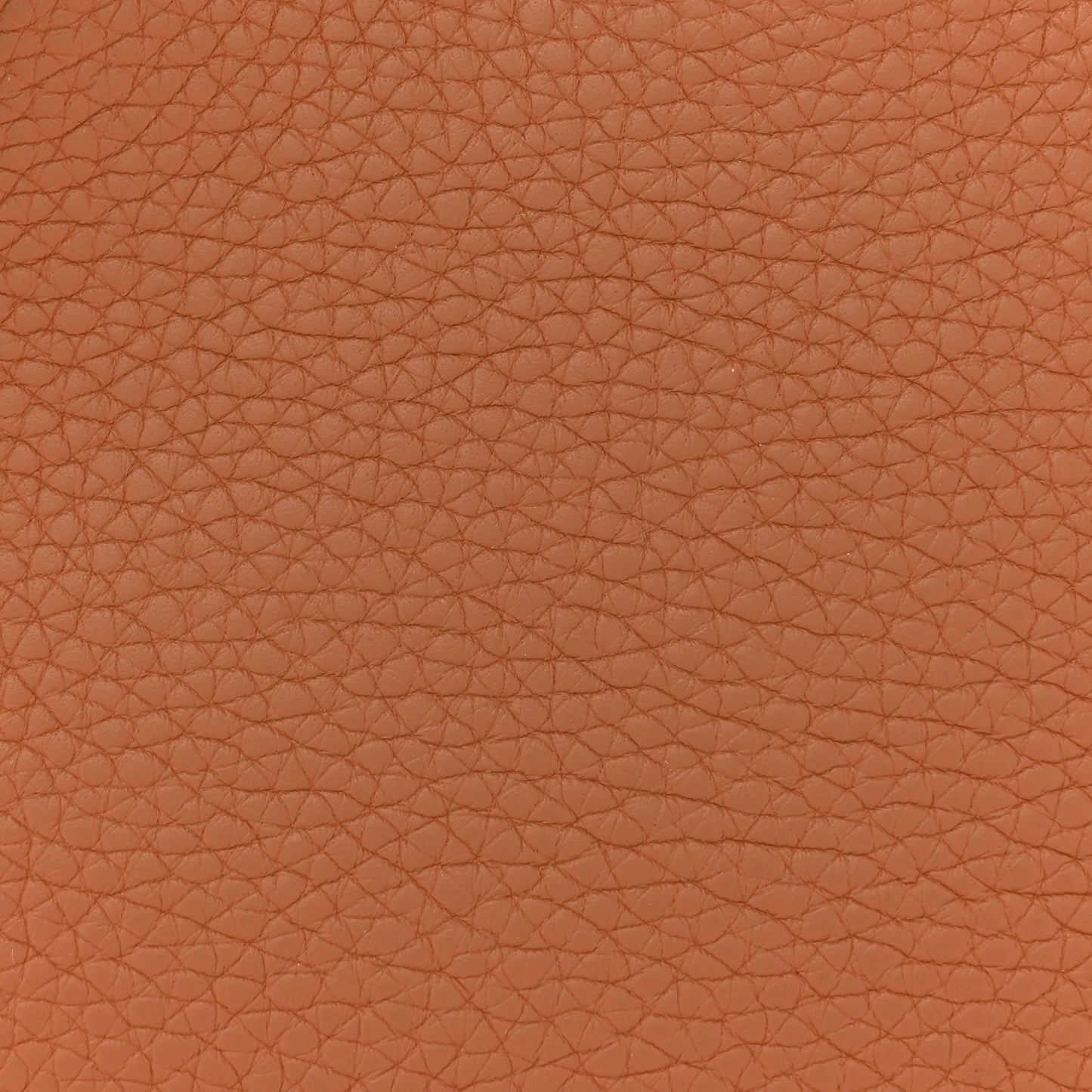 Taurillon Clemence Jypsiere 28 Gold