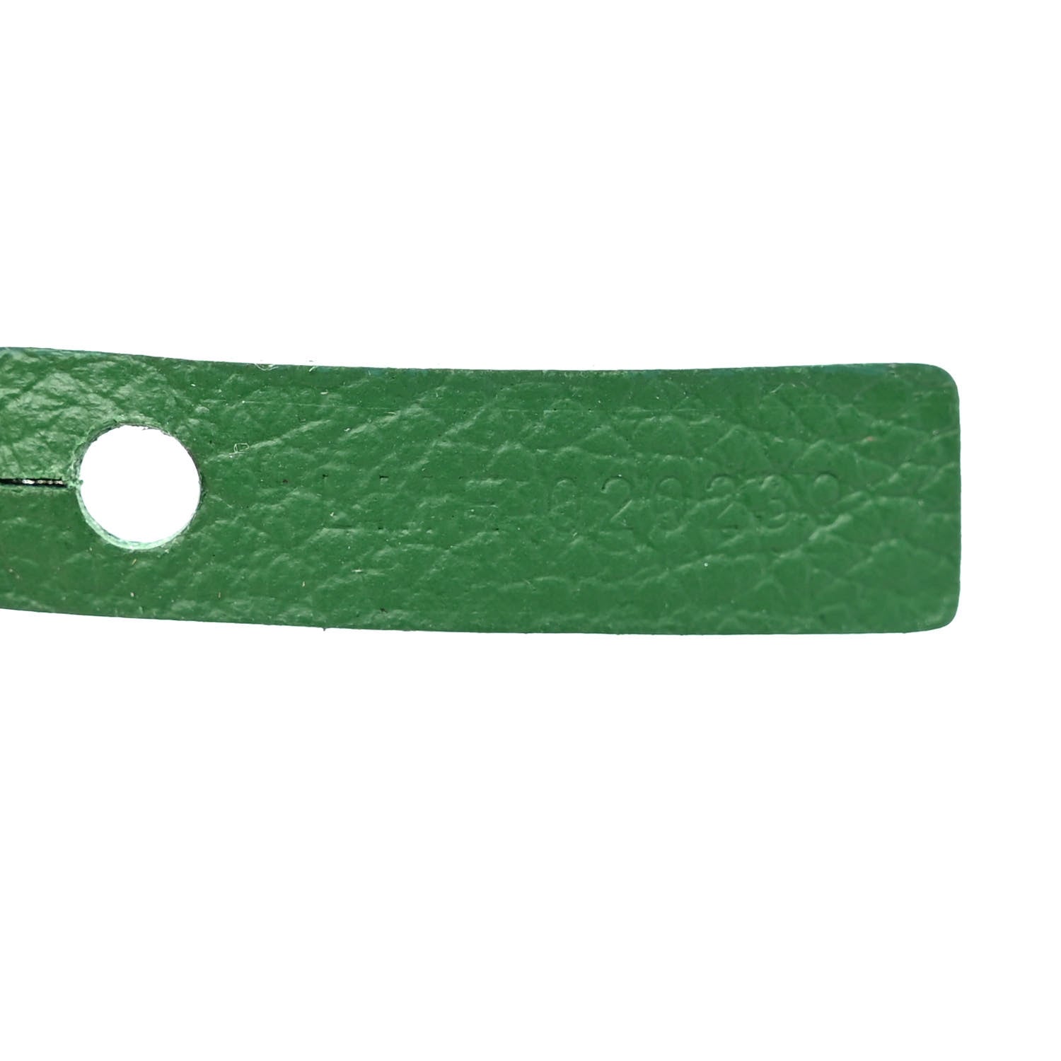 Goyard Goyardine Saint Louis PM Green 8 of 11