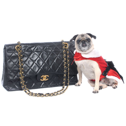 FASHIONPHILE FASHIONPHILE Pet Picks Calendar 13 of 14