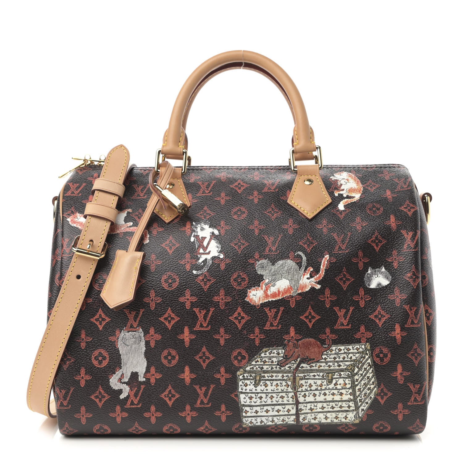 Louis Vuitton Catogram Speedy Bandouliere 30 Marron 1 of 10