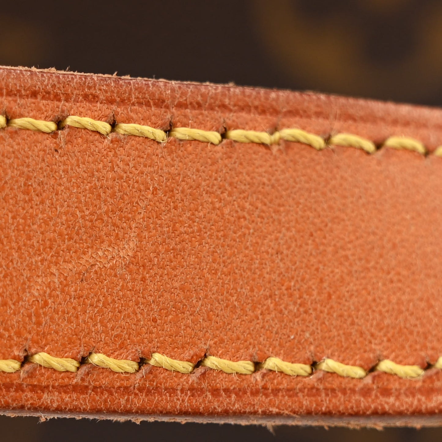 Monogram Cabas Piano