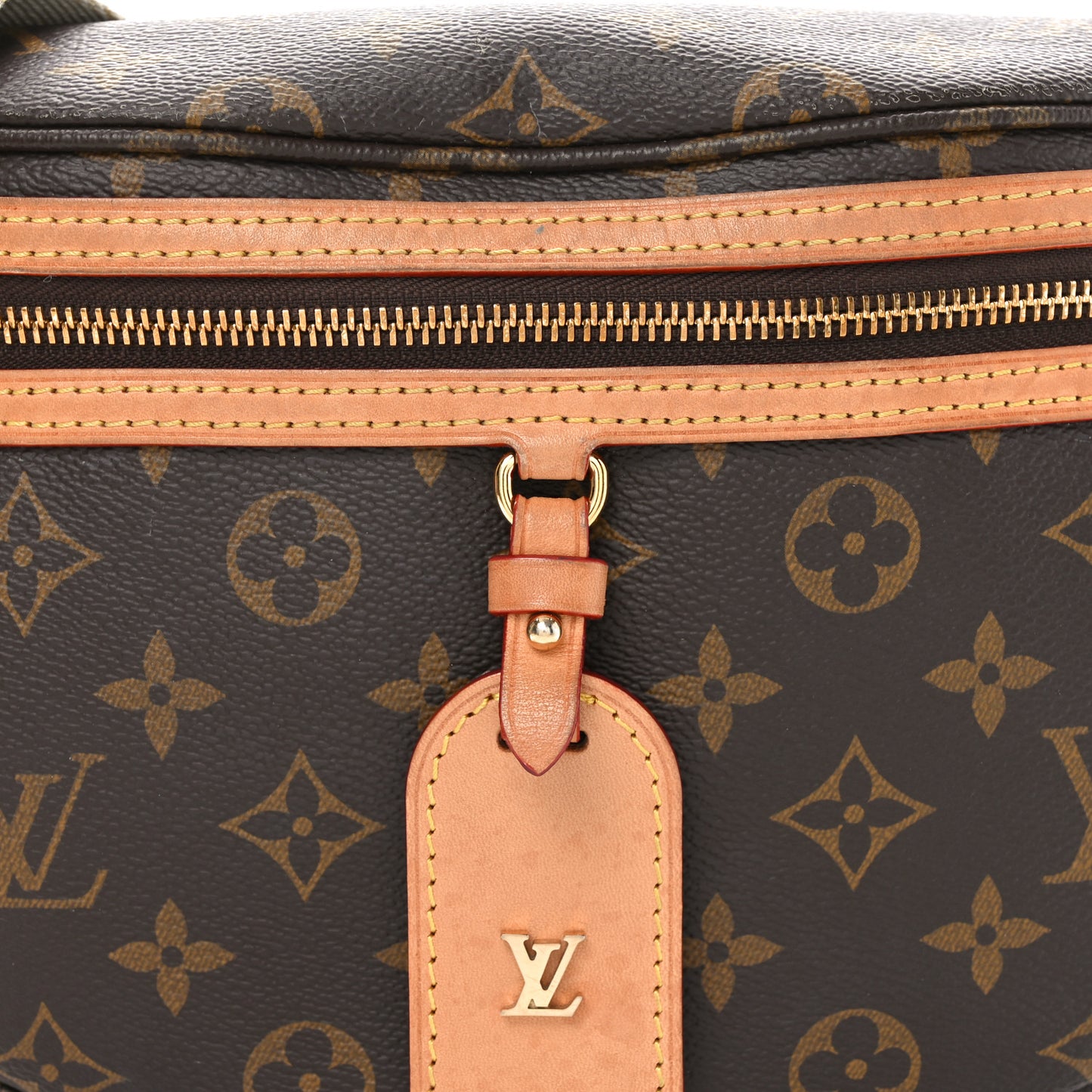Monogram High Rise Bumbag