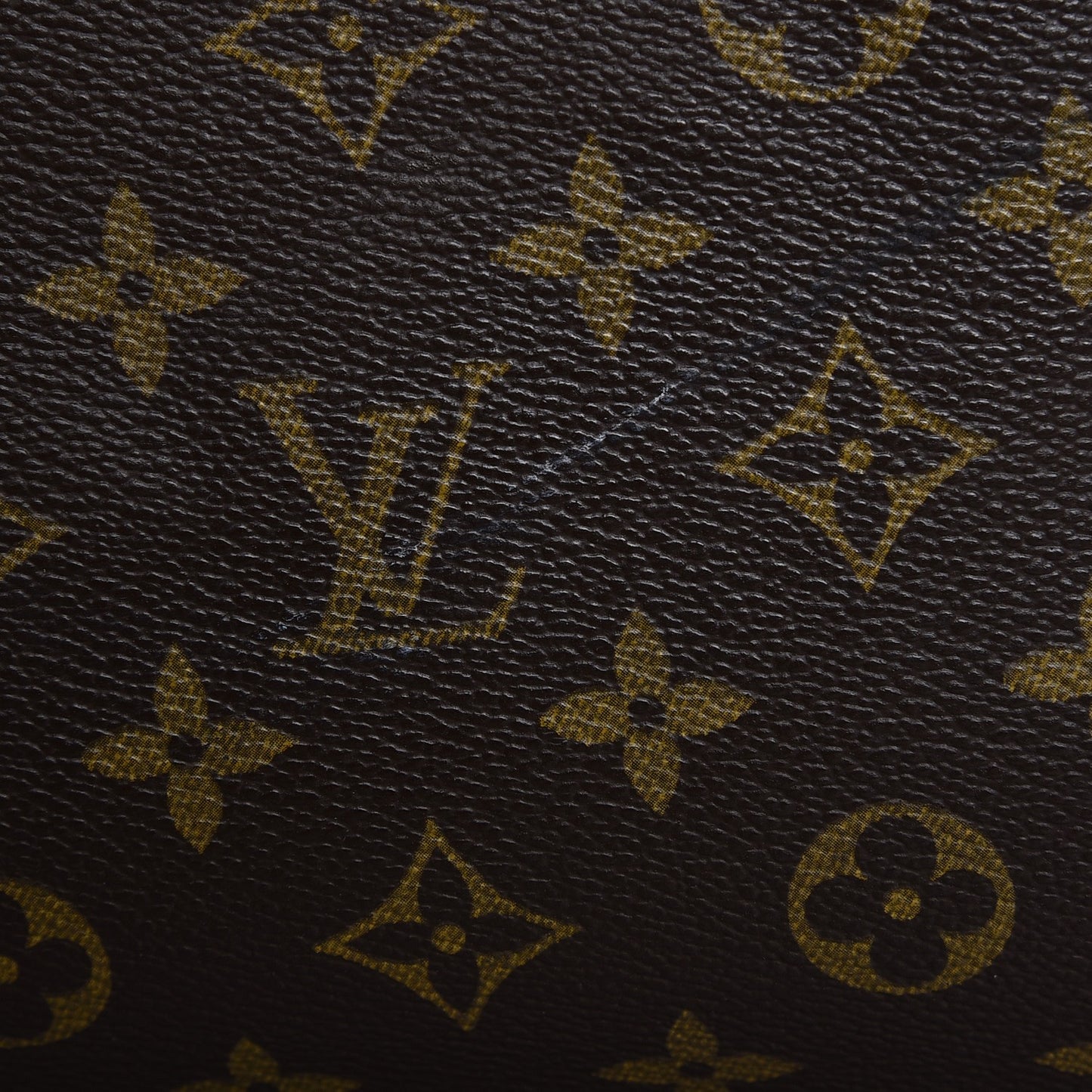 Monogram Garment Bag