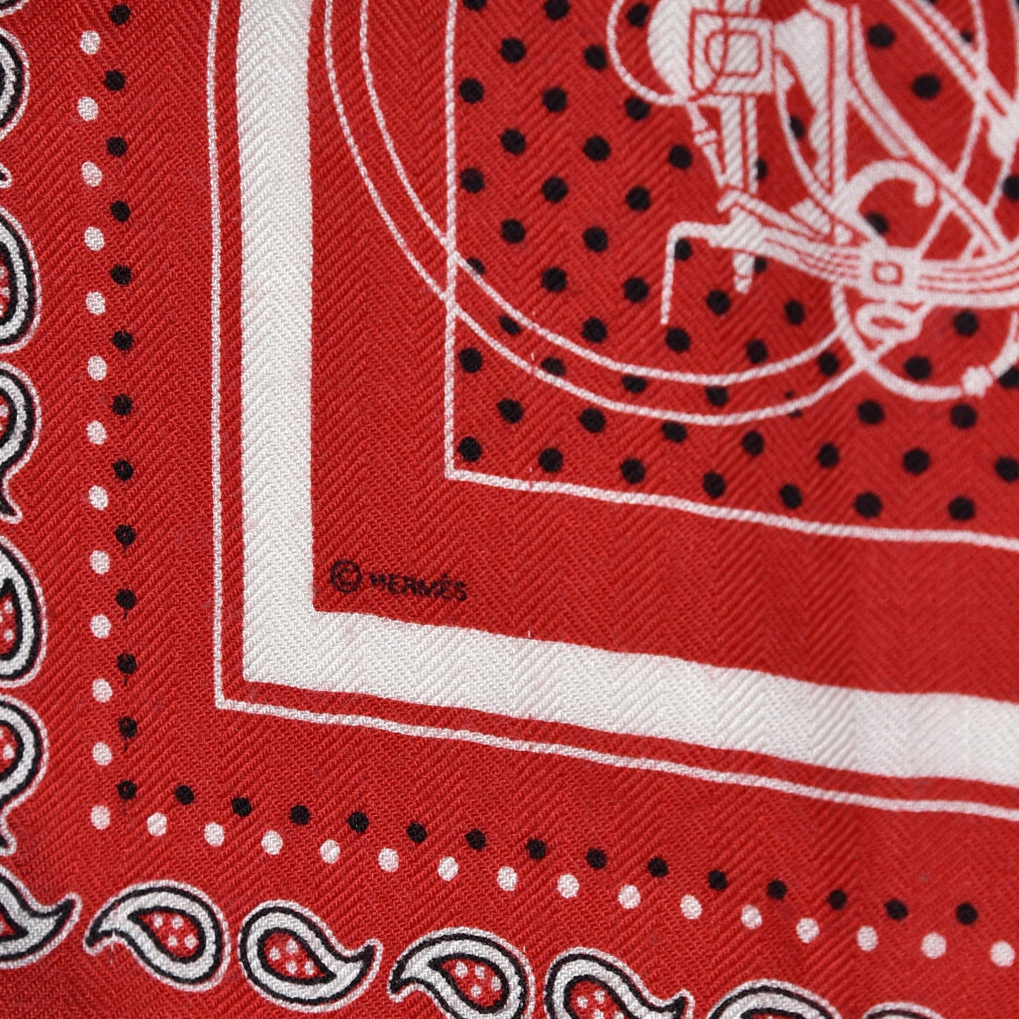 Cashmere Silk Ex-Libris Bandana Scarf 55