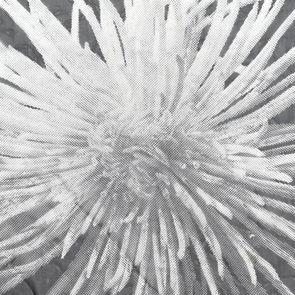 Hermes Silk Dahlia Shawl 140 3 of 4