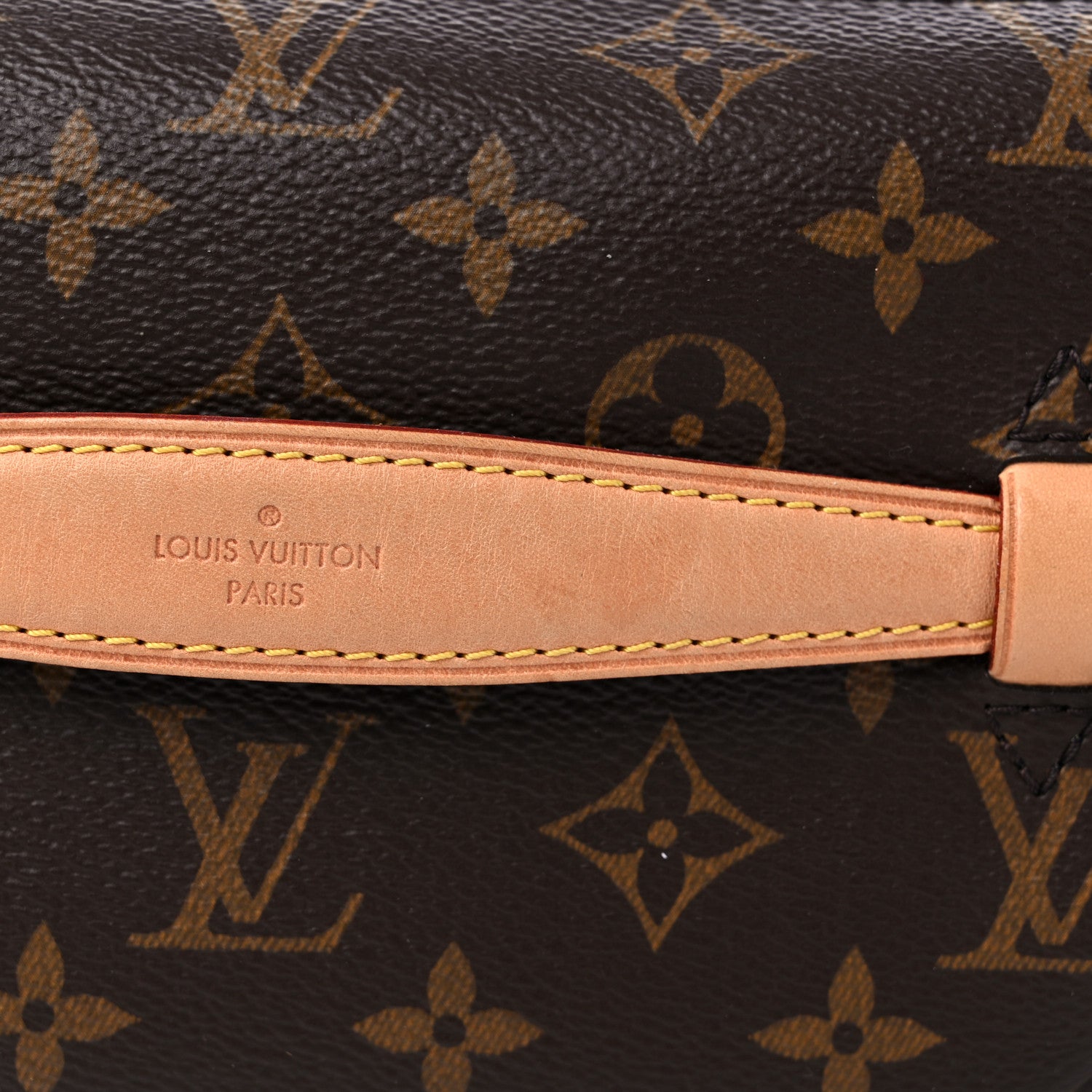 Louis Vuitton Monogram Bumbag 10 of 12