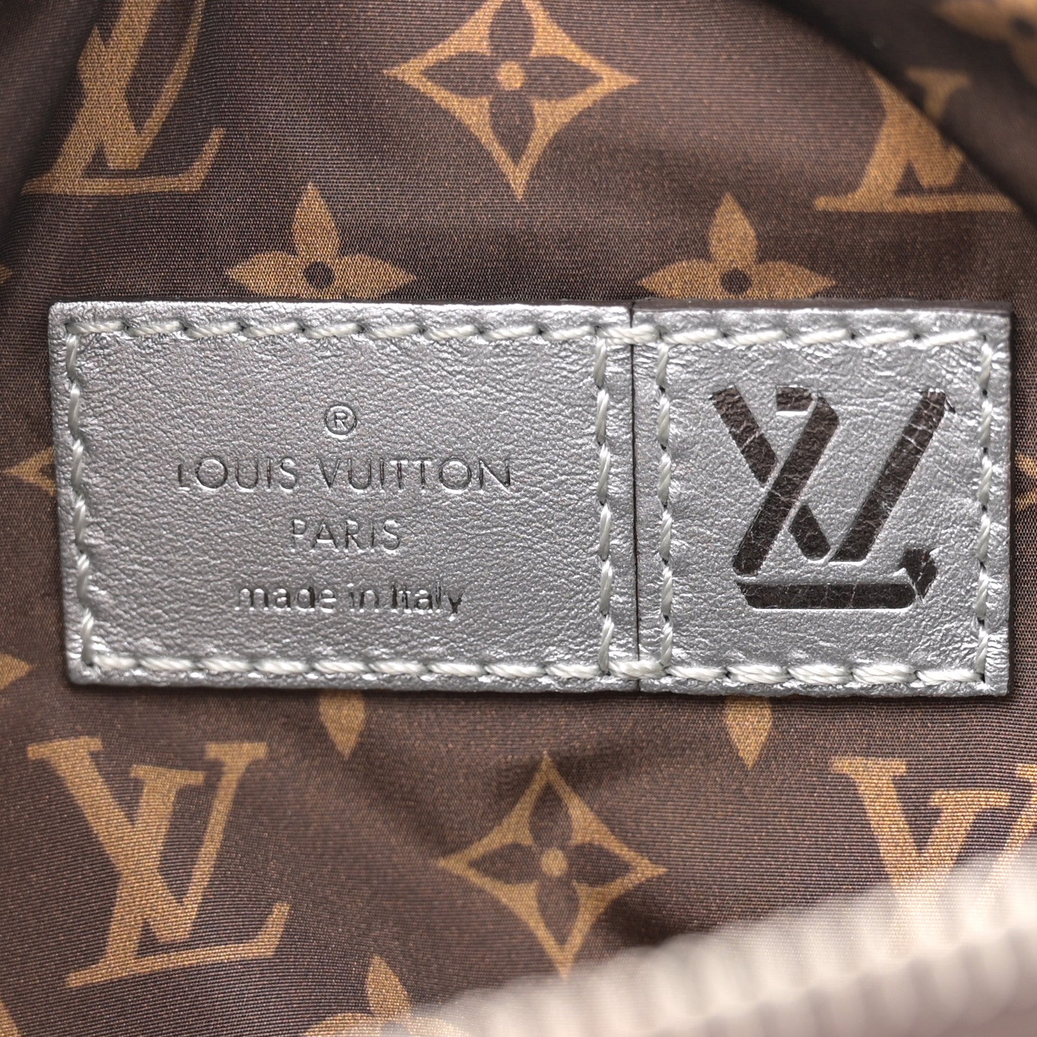 Louis Vuitton Econyl Monogram Pillow BumBag Silver 6 of 9