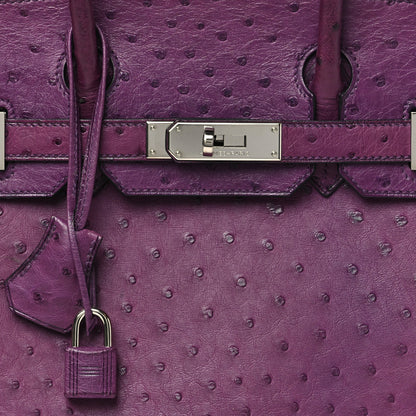 Hermes Ostrich Birkin 30 Violine 8 of 10