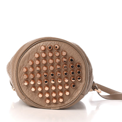 Alexander Wang Pebbled Lambskin Diego Bucket Bag Latte 10 of 12