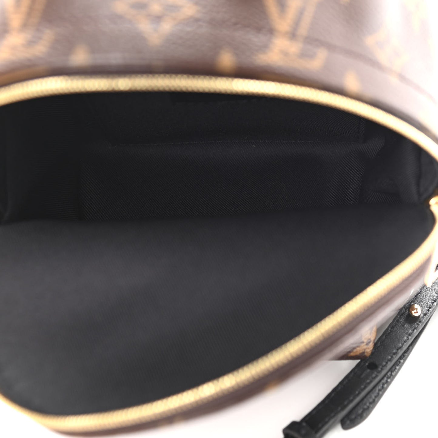 Monogram Palm Springs Backpack Mini