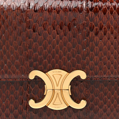 Celine Watersnake Teen Triomphe Brown 7 of 9
