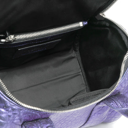 Alexander Wang Pebbled Lambskin Rockie Nile with Silver Hardware 6 of 6