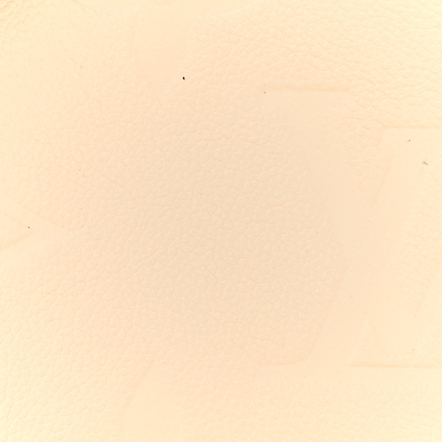 Empreinte Monogram Giant Bagatelle NM Cream
