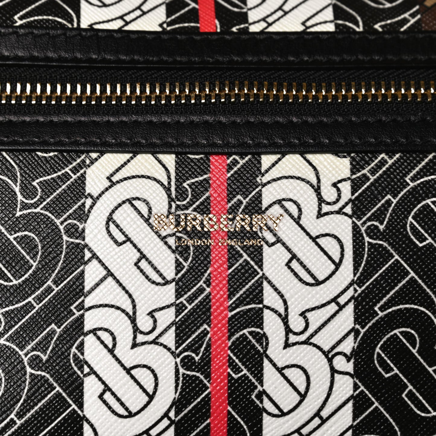 E-Canvas Monogram Stripe Medium Sonny Bum Bag Bridle Brown