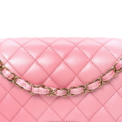 Chanel Metallic Goatskin Ombre Quilted Medium Double Flap Pink 8 of 10