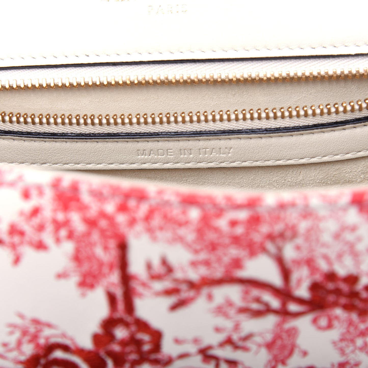 Embroidered Floral Toile de Jouy Medium Diorama Flap Bag Red