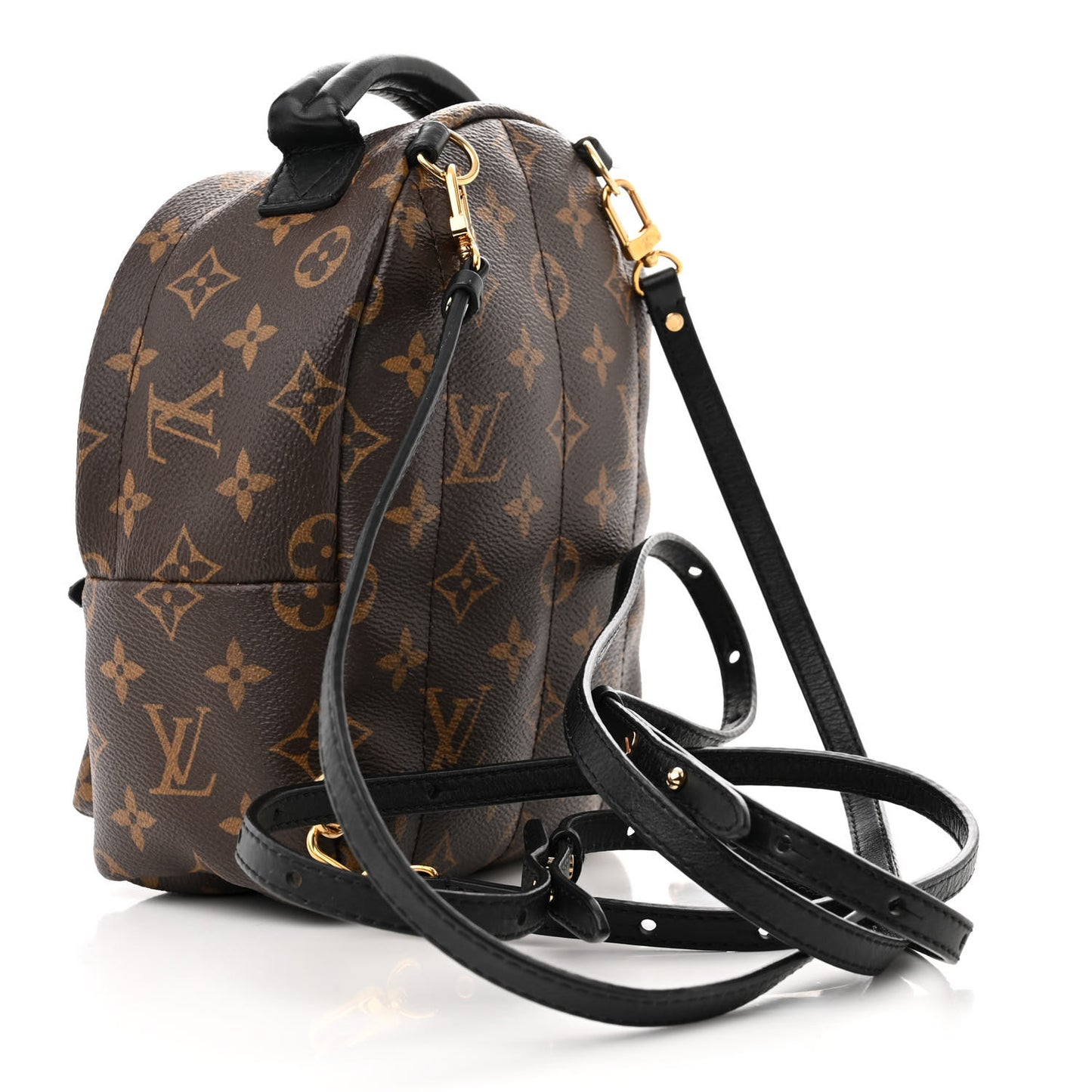 Monogram Palm Springs Backpack Mini