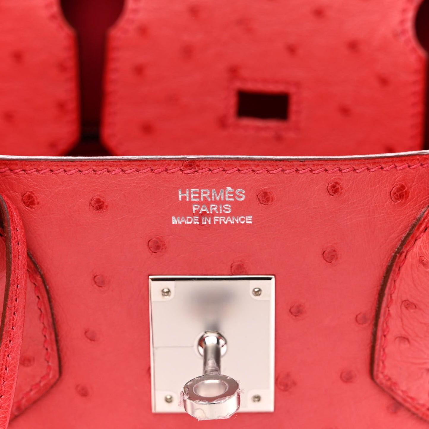 Ostrich Birkin 30 Bougainvillea
