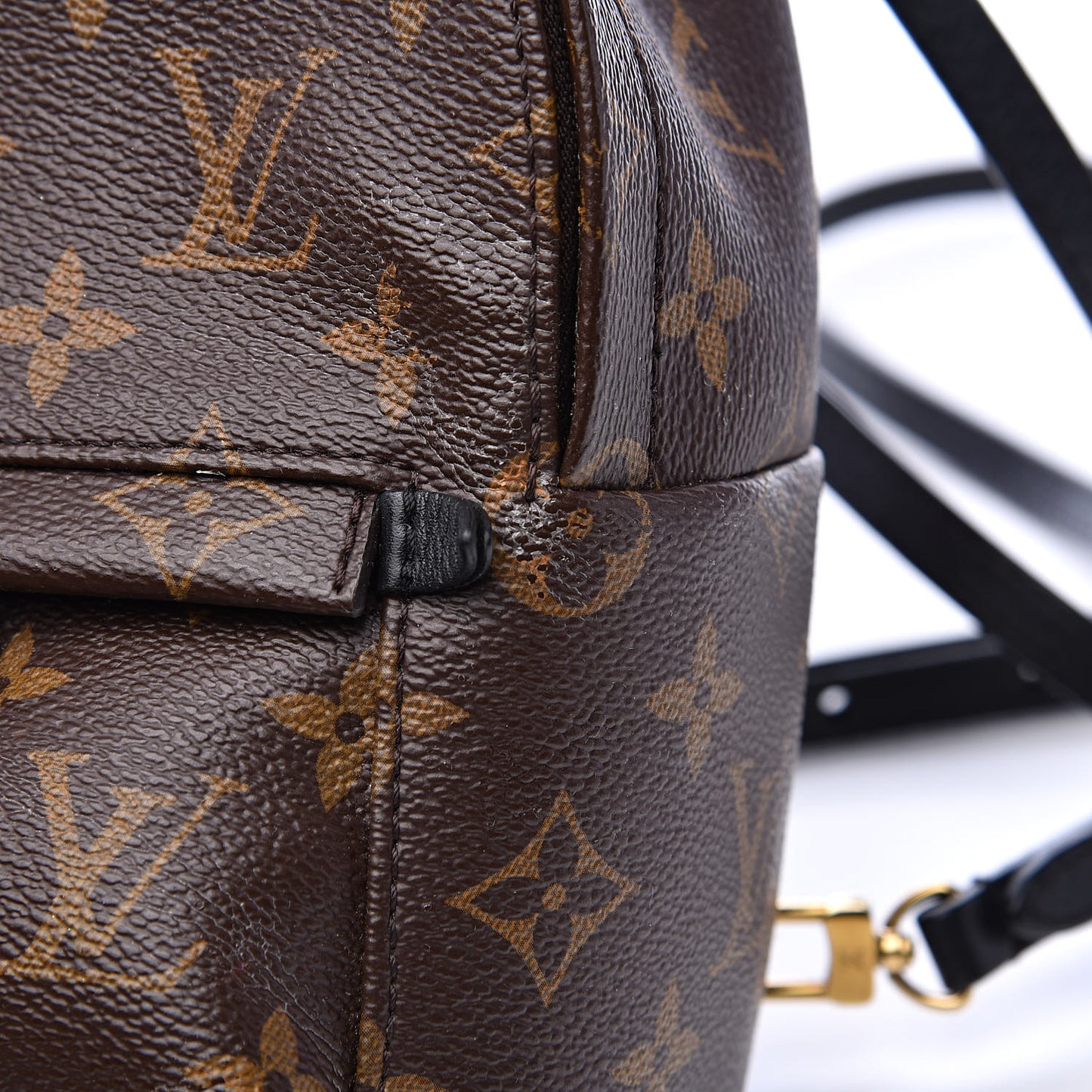 Monogram Palm Springs Backpack Mini