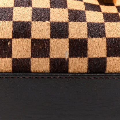 Louis Vuitton LOUIS VUITTON Damier Sauvage Lionne 13 of 13