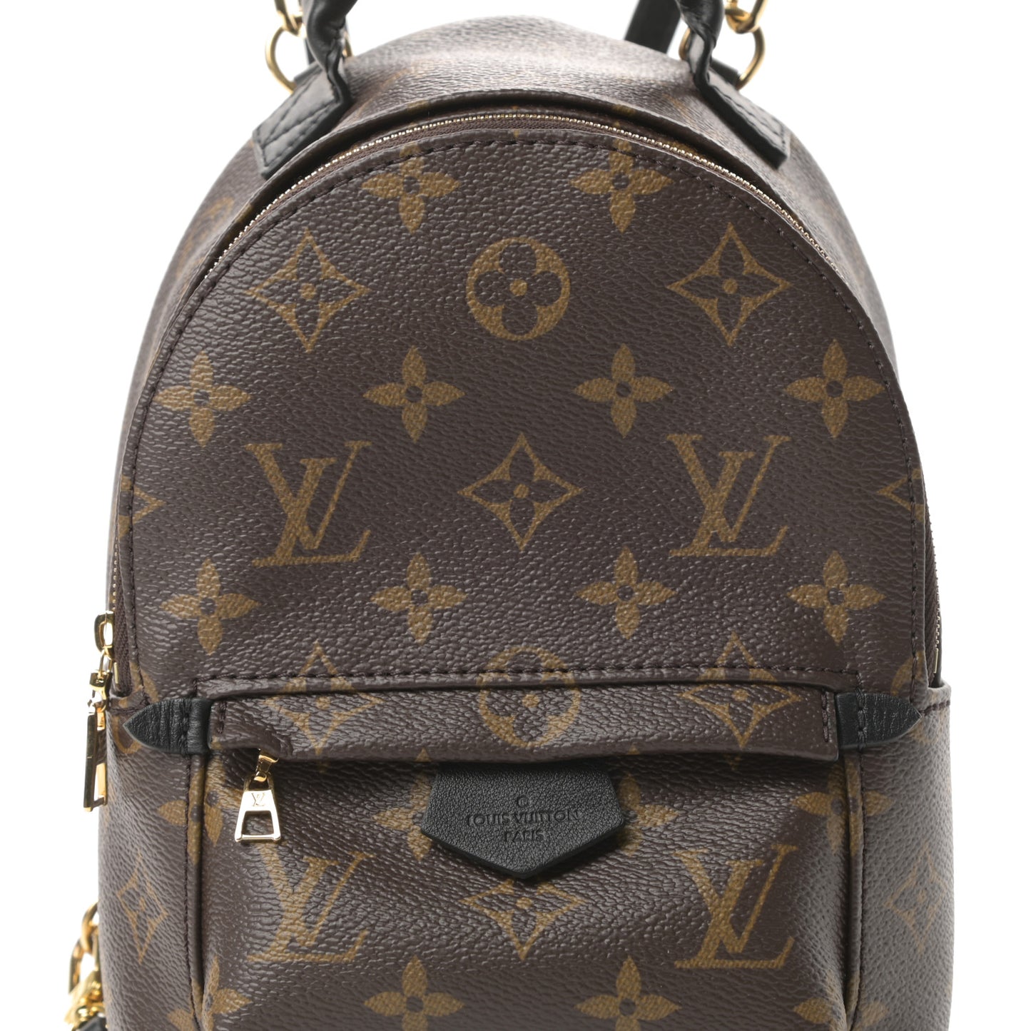 Monogram Palm Springs Backpack Mini
