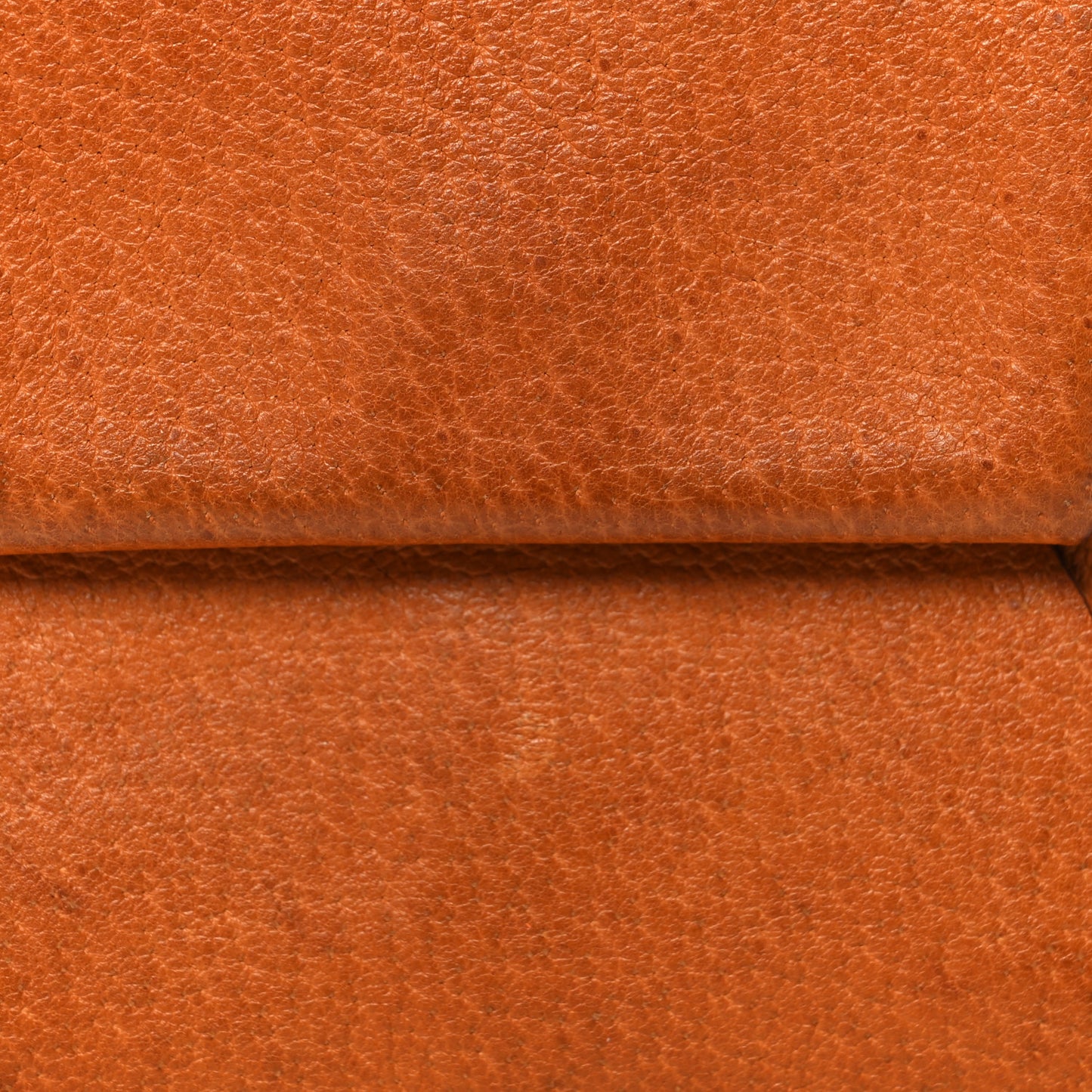Peau Porc Bastia Coin Purse Toffee