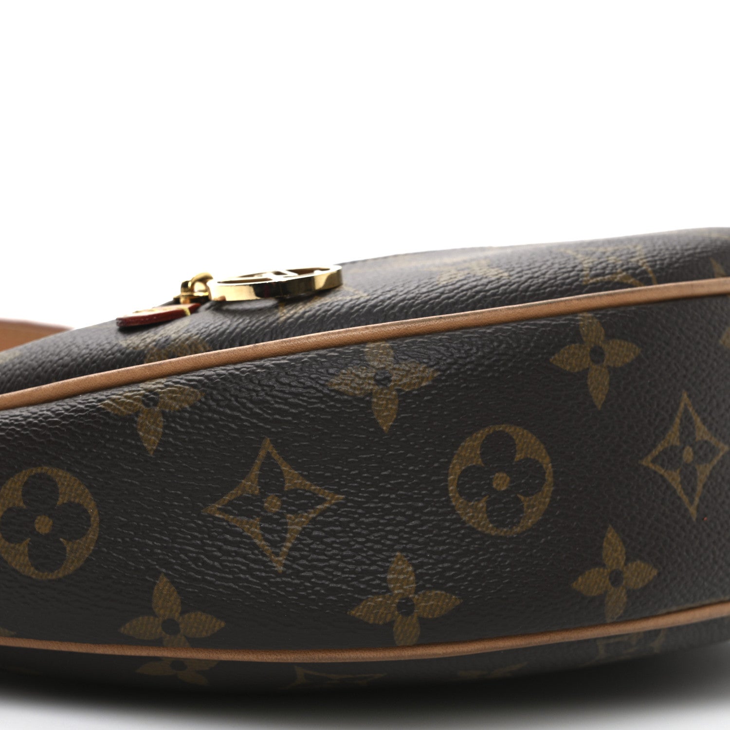Louis Vuitton Monogram Loop 8 of 10